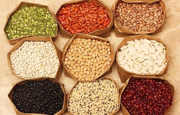 Trong hạt đậu chứa nhiều protein, giàu canxi, kali, kẽm, vitamin B6